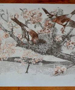 Affiche “Les Geais-La visite du Zoo”