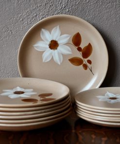 12 Assiettes en grès Moulin des Loups