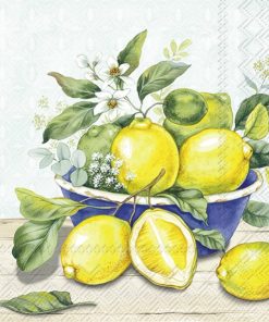 20 SERVIETTES EN PAPIER CITRON ET MENTHE 33 X 33 CM
